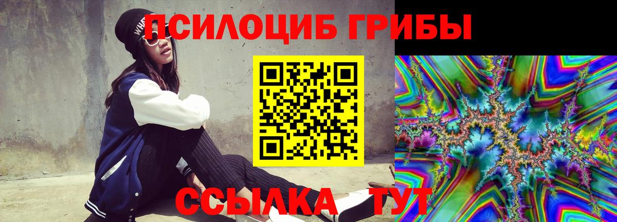 Галлюциногенные грибы Psilocybine cubensis  Вход с VPN  Ливны 
