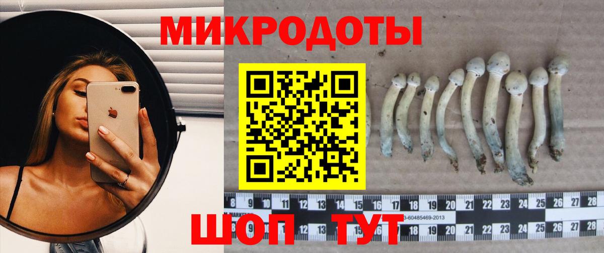 Галлюциногенные грибы мицелий Ливны